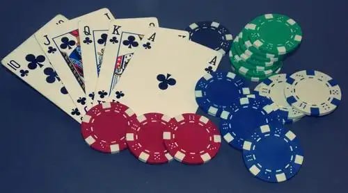 organized gb99 sports betting section linked with sportsbook and match interest